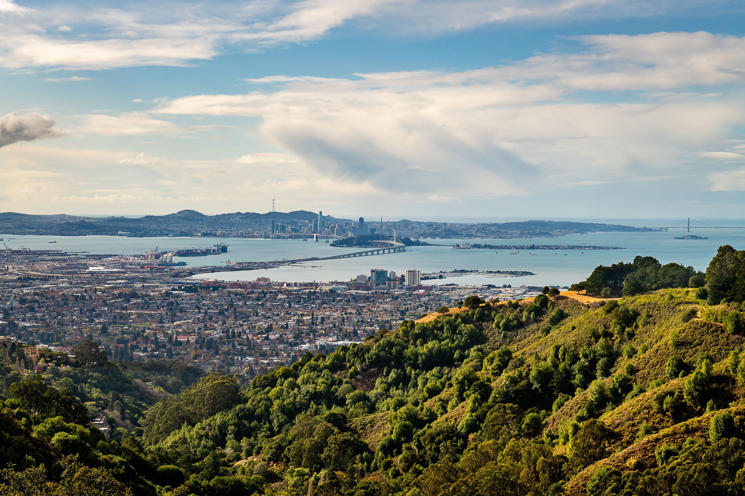 The San Francisco Bay and East Bay hills viewed from Vollmer Peak in Tilden Regional Park.