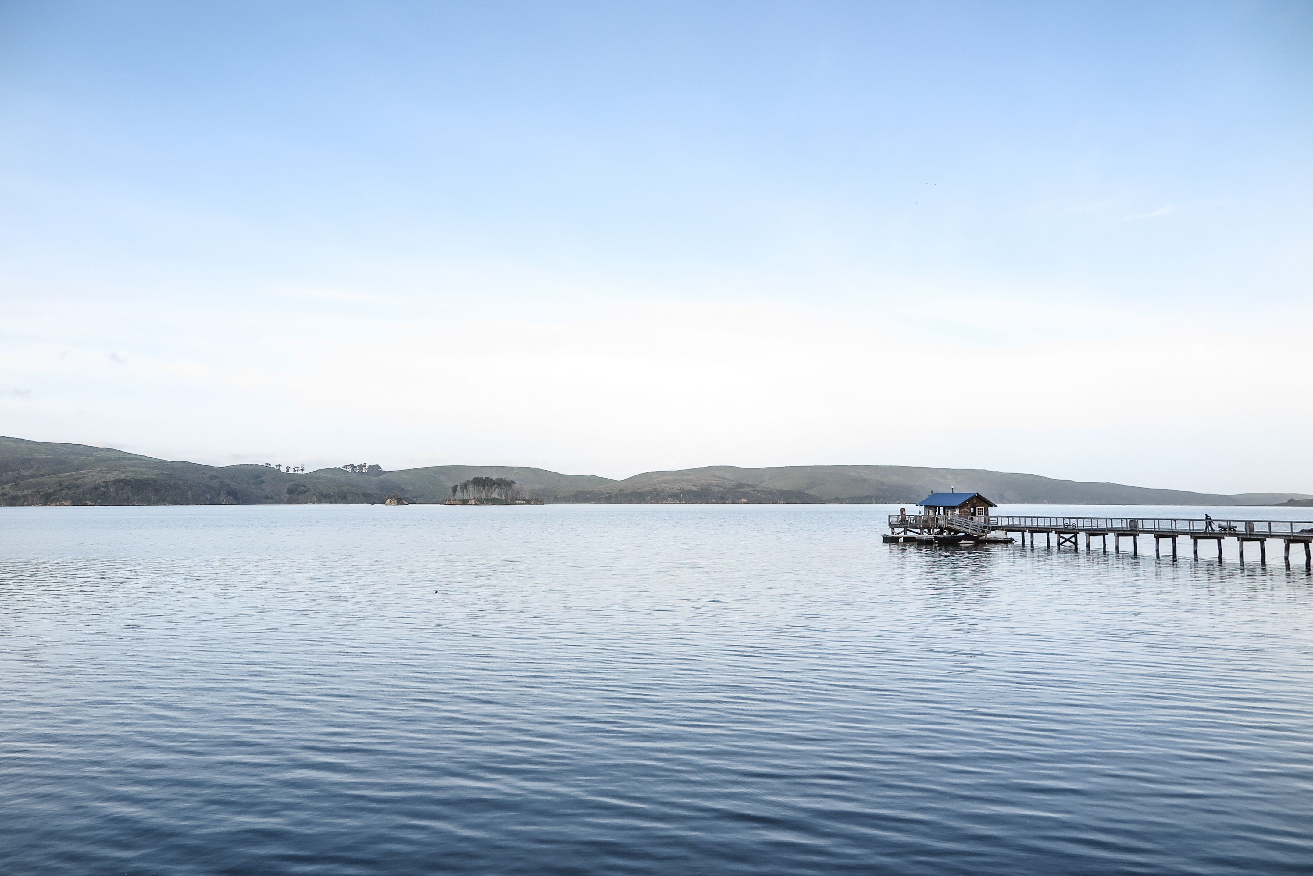 Morning light over the calm water and hills of Tomales Bay.