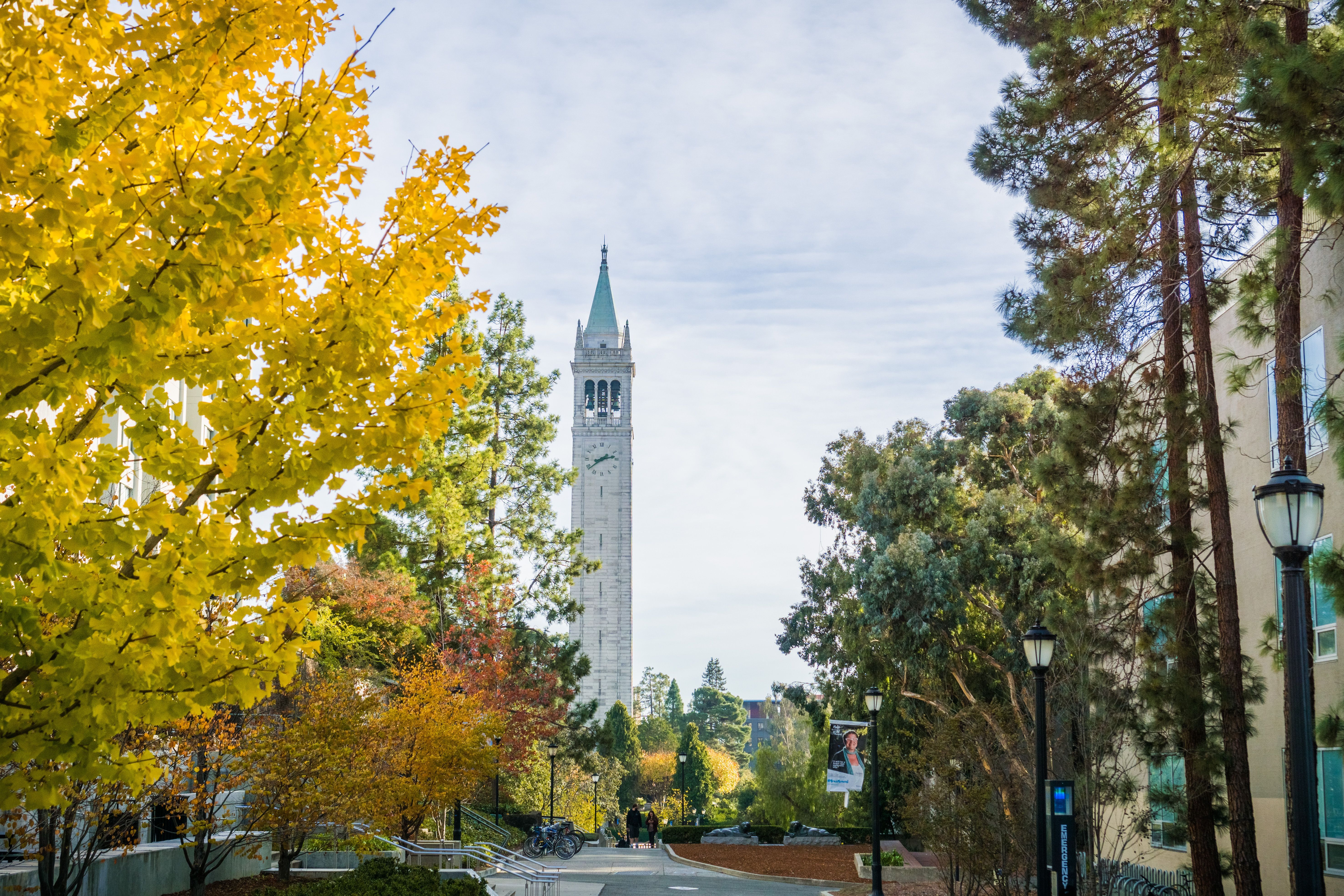 Sather Tower seen through autumn trees on the UC Berkeley campus.