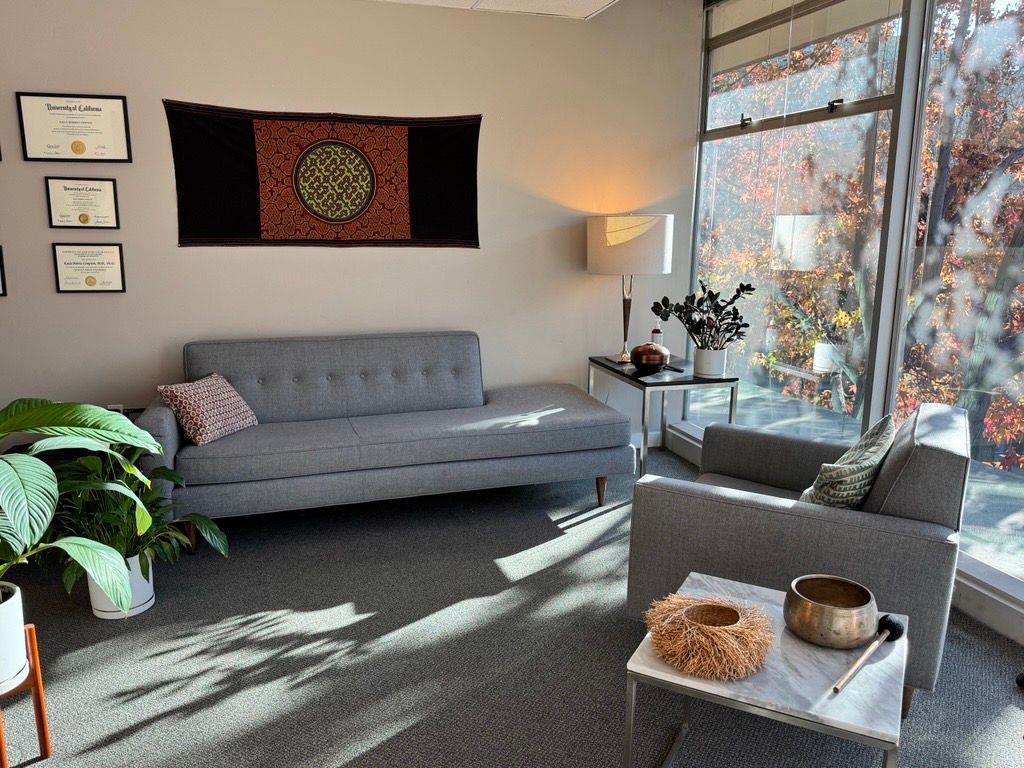 Sunlit Berkeley office with a gray sofa, armchair, and plants beside large windows.
